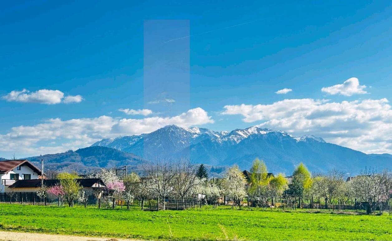 Das Home Rîşnov 외부 사진