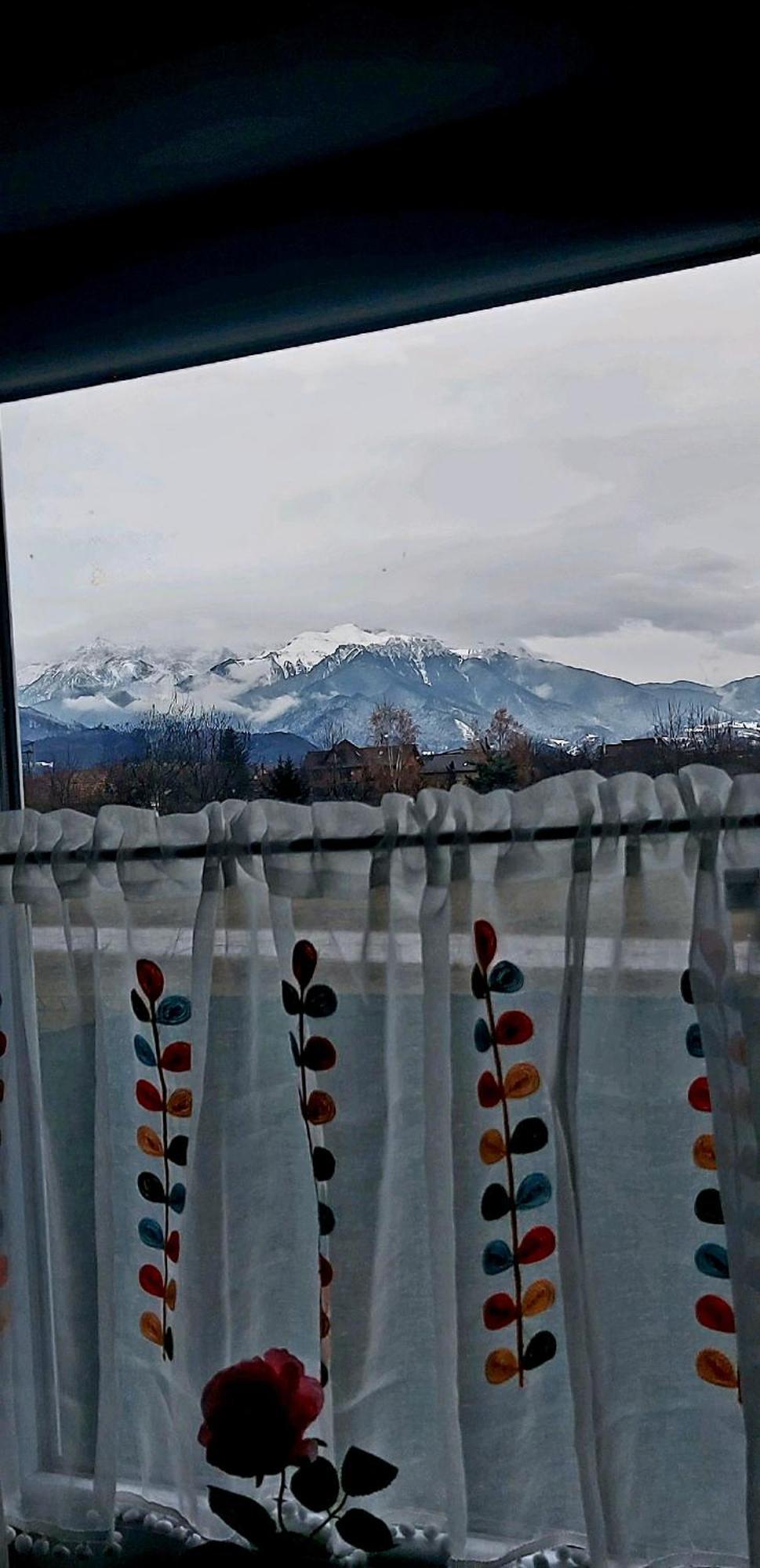 Das Home Rîşnov 외부 사진